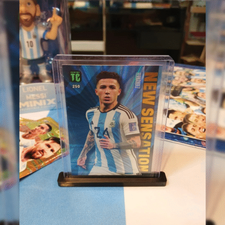 ENZO FERNANDEZ - PANINI TOP CLASS